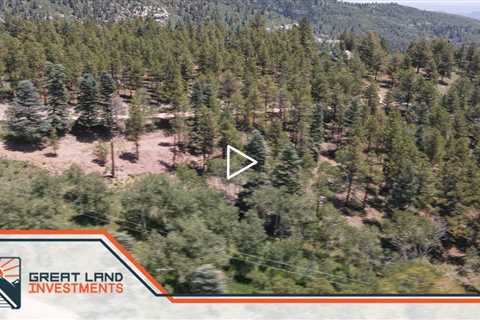 0.61 Acres of Colorado land for sale, with trees next to power in the mountains