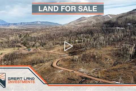 Inexpensive Land For Sale in Forbes Park Costilla County Colorado