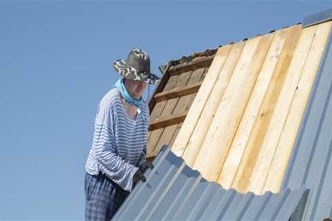 House Painting Vs. Metal Roofing In Towson: Which Is Best