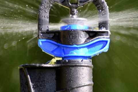 Finding the Right Watering Companies