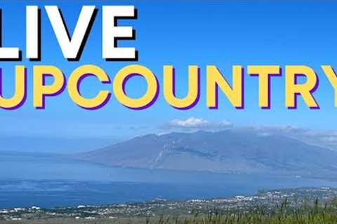 Upcountry Maui Hawaii | Top 5 Reasons to Live Here
