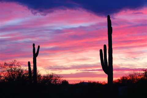 10 Beautiful Places in Tucson Locals Rave About