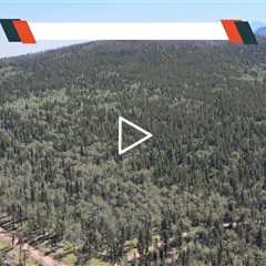 Trees, Electricity, Adjacent Lots, Mountain Land For Sale in Colorado
