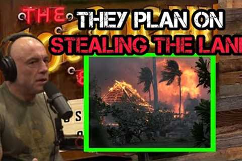 Joe Rogan SHOCKED by Tulsi Gabbard: They Plan on STEALING Maui
