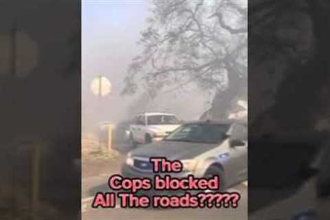 Family of 12, Harrowing Escape from Lahaina Fire: Cops Block Route, Flames Feet Away!