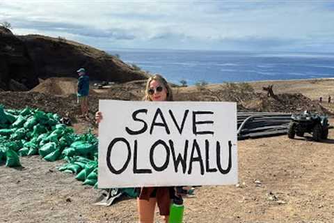 We Must All Save Olowalu Maui Together - sign the petition at VetoMauiDump.com