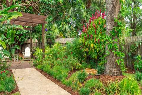How Can Lawn Services In Pembroke Pines, FL Help You Achieve A Green Home