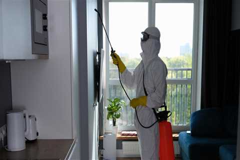 From Infestation To Investment: How Home Sellers Can Benefit From Pest Exterminators Before..
