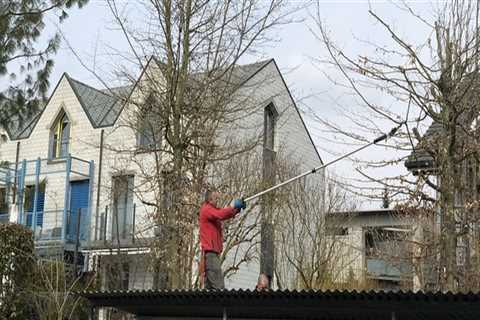 Boost Your Curb Appeal: Tree Cutting Services In Bethany, OK, Before Selling Your House