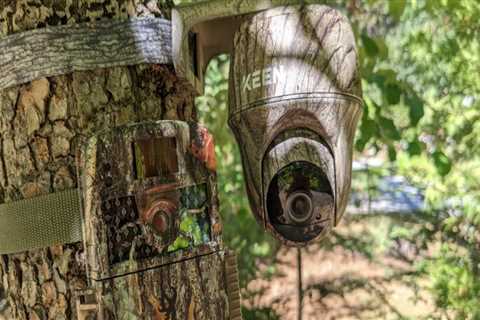 What is the difference between trail camera and outdoor security camera?
