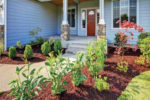 Simple Landscaping Projects to Boost Curb Appeal