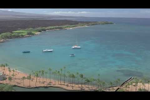 A Big Island Neighborhood Tour: South Kohala, Waimea, & North Kohala by Alethea Lai (Hawaii)