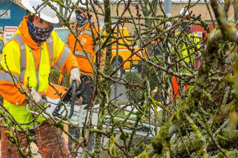 Creating Curb Appeal: Home Remodels In Dallas And The Importance Of Parking Lot Cleanup