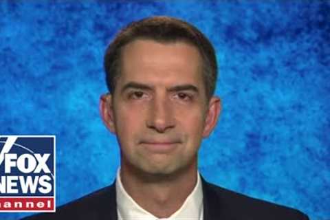 There are ‘multiple incidents’ of inaccurate statements: Sen. Tom Cotton