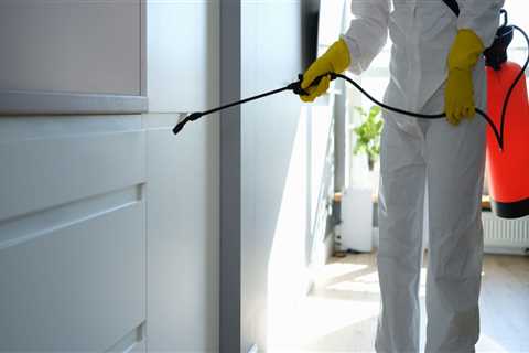 Mold Remediation In Philadelphia: The Essential Step Before Painting Your Home