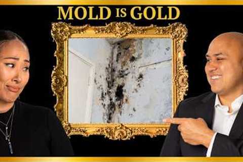 Mold In Hawaii Homes Can Be Good If...