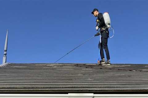 Roof Maintenance and Cost Efficiency