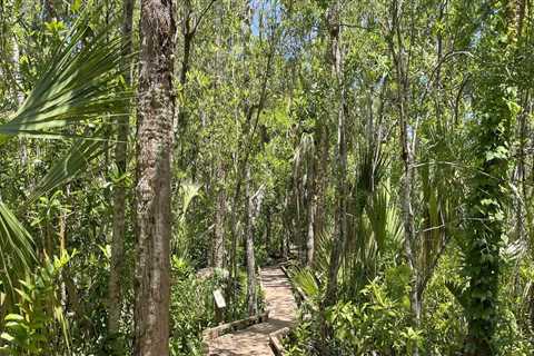 Exploring the Scenic Drives and Routes in Lee County, Florida