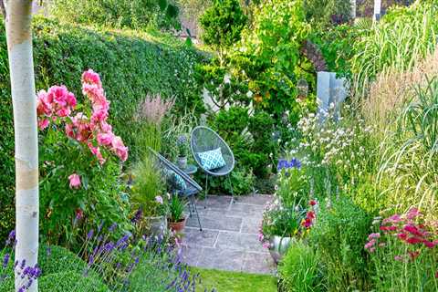 Plant Selection and Installation: How to Create a Beautiful Landscape