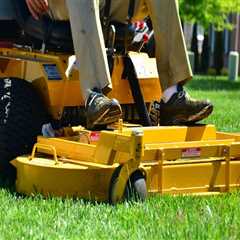 The Benefits Of Professional Lawn Cutting Services For Residential Appraisals In Northern Virginia