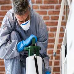 Avoiding Unwelcome Surprises: The Importance Of Exterminator Services During Your Charleston Home..