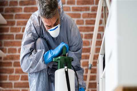 Avoiding Unwelcome Surprises: The Importance Of Exterminator Services During Your Charleston Home..