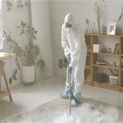 Expert Carpet Cleaning In Modesto, CA: A Must For Your Manufactured Home