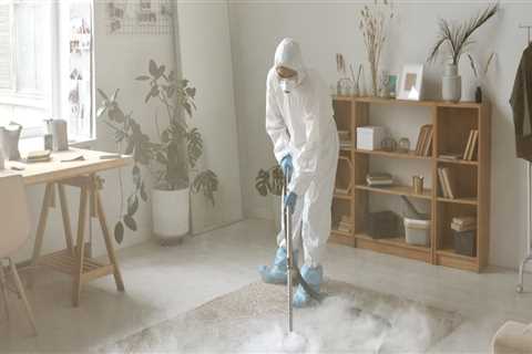 Expert Carpet Cleaning In Modesto, CA: A Must For Your Manufactured Home