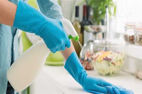 Tips For Choosing The Right House Cleaning Service For Your Green Home In Salt Lake City