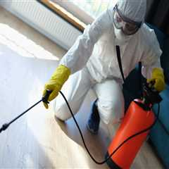 Battling Bed Bugs In Manhattan: Essential Extermination Tips For Manufactured Homes