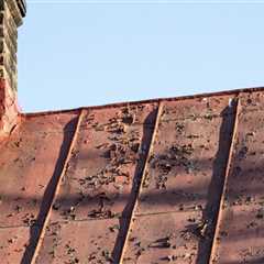 Roof Repair In Monett, MO: The Ultimate Curb Appeal Game-Changer