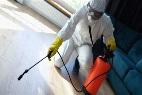 Battling Bed Bugs In Manhattan: Essential Extermination Tips For Manufactured Homes