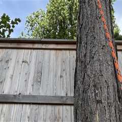 Clearing The Way: How Tree Removal In Gresham Enhances Timber Frame House Aesthetics