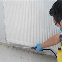 Pest Control In Mount Pleasant: A Smart Step Toward A Better Home Appraisal