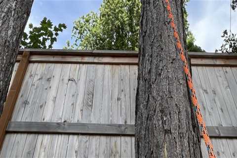 Clearing The Way: How Tree Removal In Gresham Enhances Timber Frame House Aesthetics