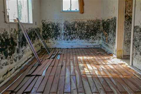 No Surprises: How Mold Remediation Services Ensures Readiness For Home Inspection Services In..