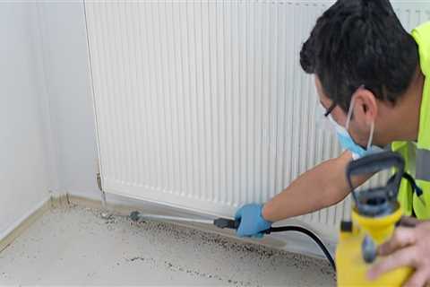 Pest Control In Mount Pleasant: A Smart Step Toward A Better Home Appraisal