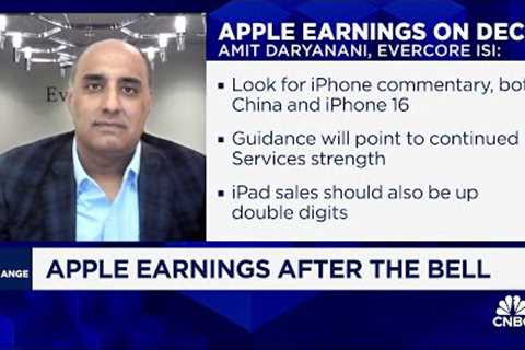 Focus will be what Apple intelligence could mean for iPhone 16, says Evercore ISI''s Amit Daryanani