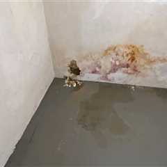 Furnace Repair Issues Caused By Basement Floods And Sewage Backups In Seattle, WA