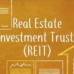 Vince Rapisura 2149: Real Estate Investment Trust (REIT) 101