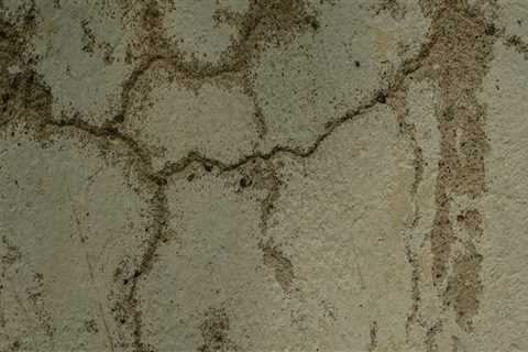 Why House Painting In Edmonds Should Include Water Damage Building Restoration Services