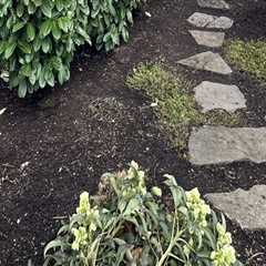 From Weeds To Wow: Landscaping Maintenance In Damascus, OR That Transforms Real Estate Photography