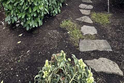 From Weeds To Wow: Landscaping Maintenance In Damascus, OR That Transforms Real Estate Photography