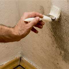 The Hidden Role of House Painting in Preventing Moisture Damage and Mold Growth