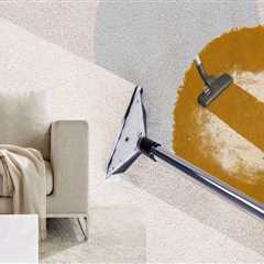 From Stains To Sales: The Role Of Carpet Cleaners In Tigard Home Buying Success