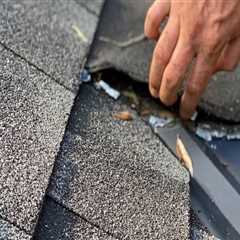 What to Expect During a Professional Roof Inspection