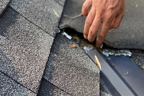 What to Expect During a Professional Roof Inspection