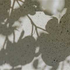 Transform Your Home with Better Builders in Seattle