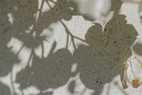 Transform Your Home with Better Builders in Seattle