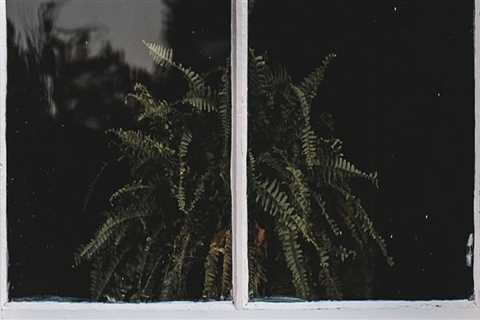 Enhance Your Home’s Curb Appeal with Glass Installation